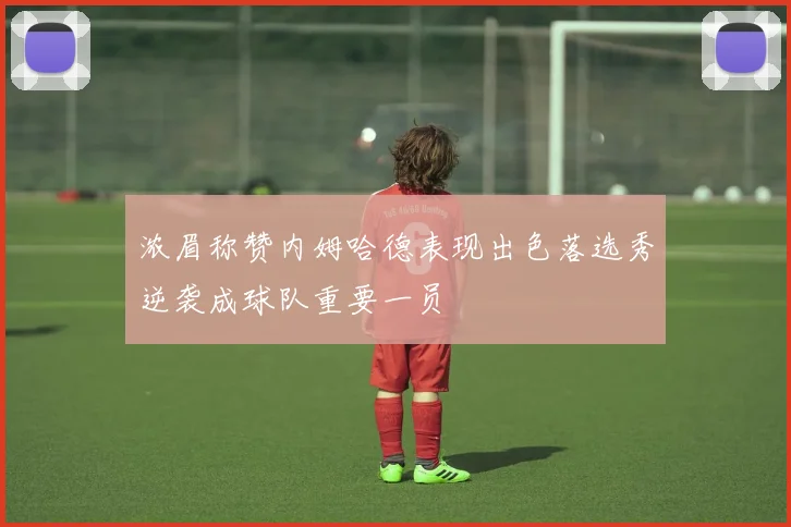 浓眉称赞内姆哈德表现出色落选秀逆袭成球队重要一员