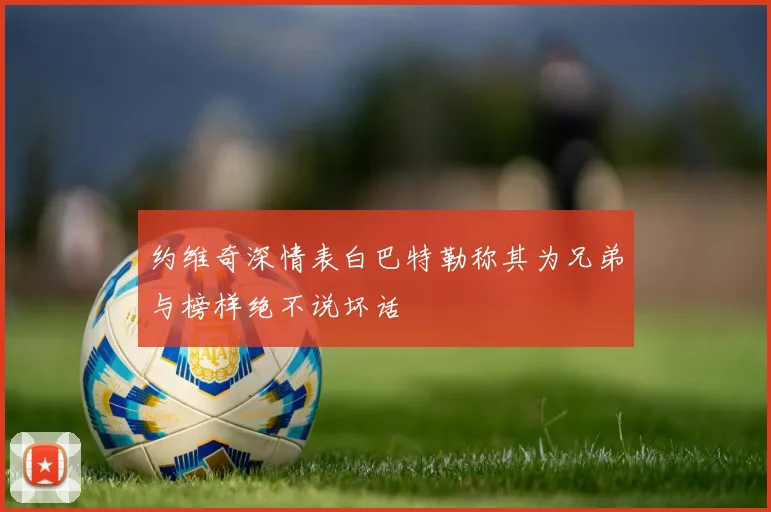 约维奇深情表白巴特勒称其为兄弟与榜样绝不说坏话